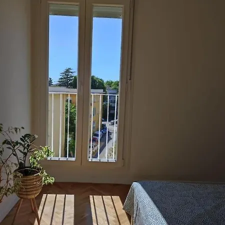 Comfy Near Center Apartment Split