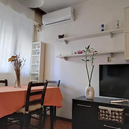 Comfy Near Center Apartment Split