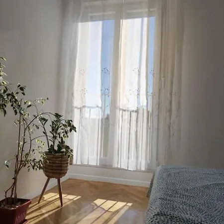 Comfy Near Center Apartment Split