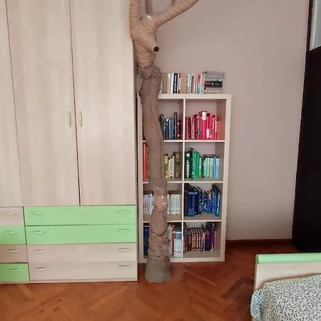 Comfy Near Center Apartment Split